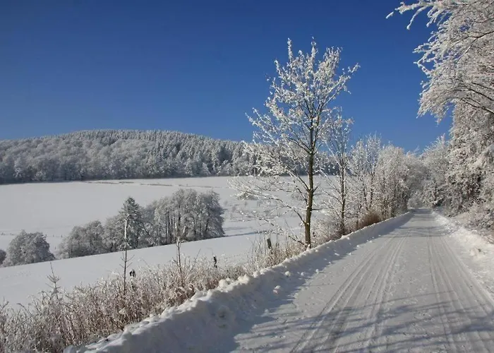 Appartement-bockelau Daire Willingen (Upland)